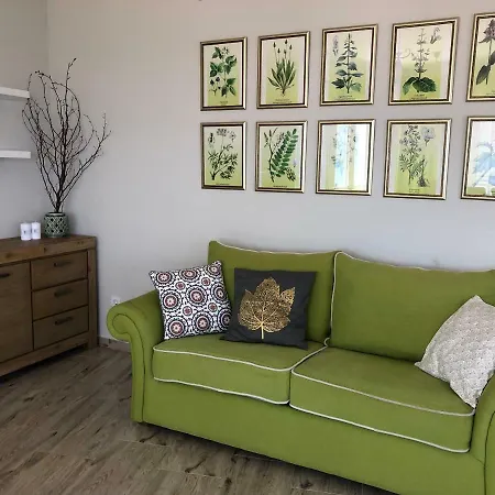 Summer Kumbor * 赫尔采格诺维