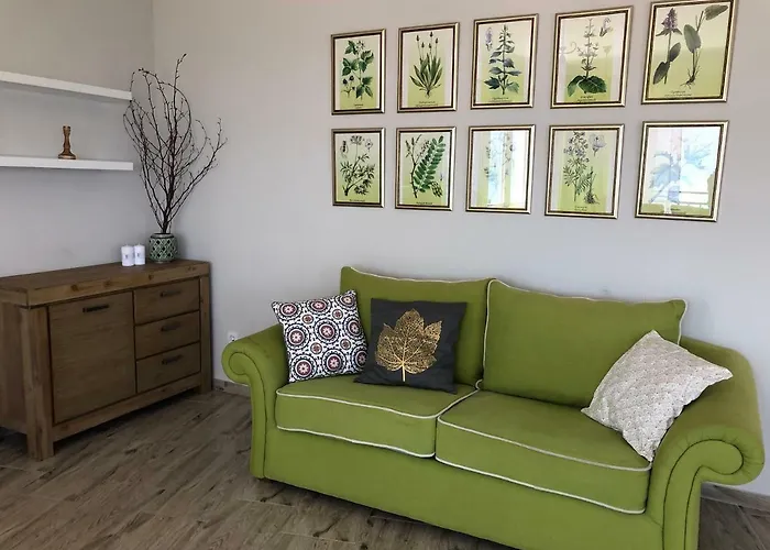 Summer Kumbor * Herceg Novi